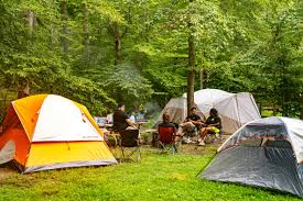 Zona de camping
