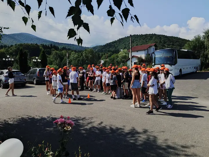 Organizare și claritate